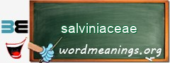WordMeaning blackboard for salviniaceae